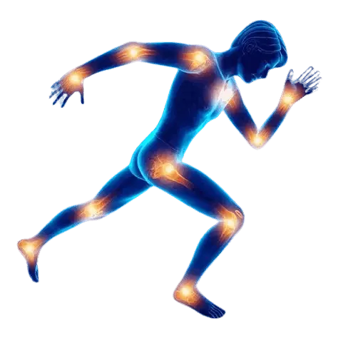 Flush Factor Plus joint pain relief